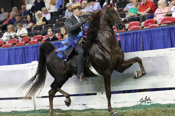 Horseback riding at Krussell Stables