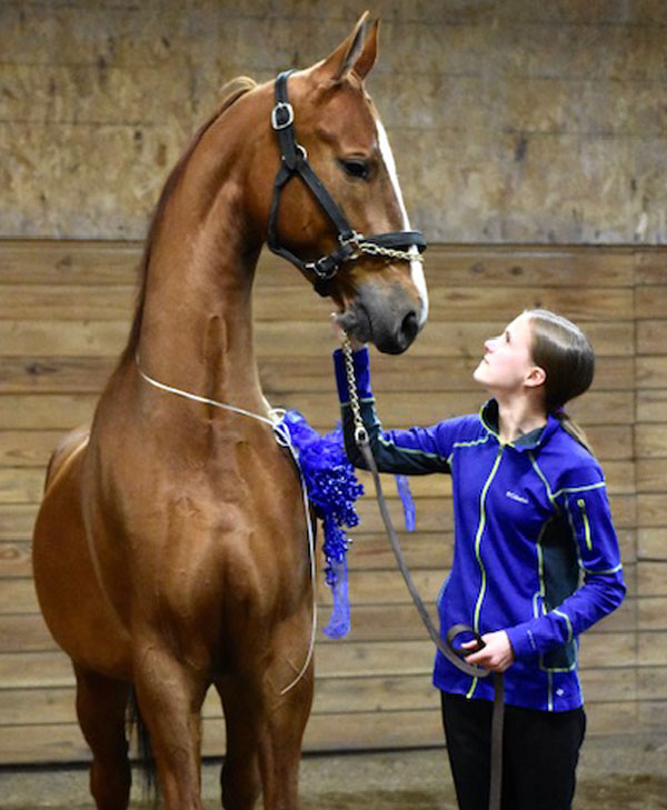 Cali and MJ at Krussell Stables in Richmond Illinois