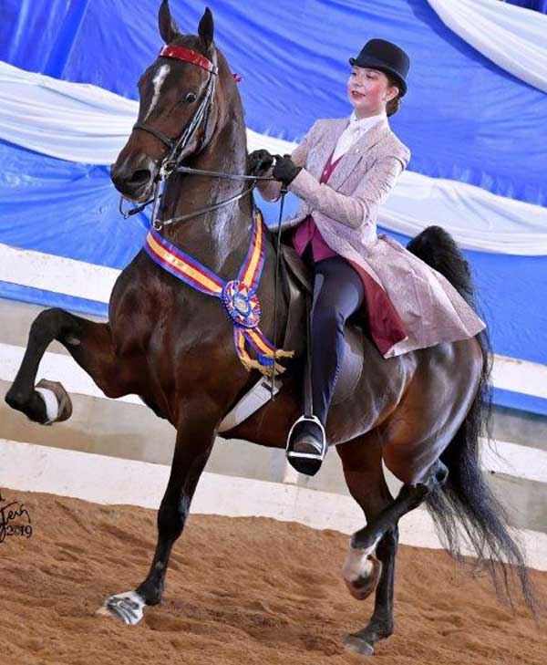 Success at Krussell Stables in Richmond Illinois